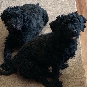 Meet your Posher, Marcie